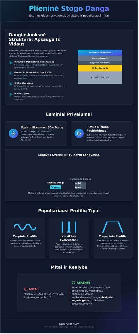 Infografikas apie pagrindinių šluotų tipų privalumus ir trūkumus