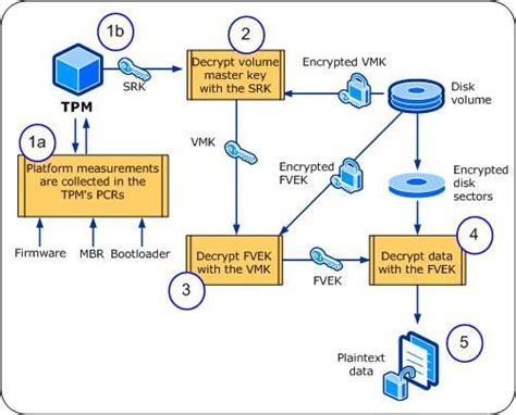 Infografika: TPM veikimo principas (TPM, fTPM, dTPM, BitLocker ryšys)