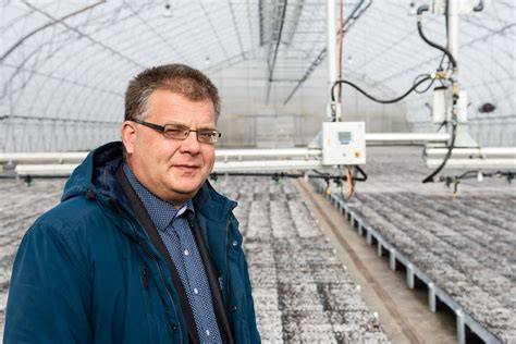 Kietų ir minkštųjų lapuočių palyginimas: tankis, kietumas, paskirtis