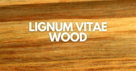 Lignum vitae struktūra ir baltos kietos medienos pjūvis
