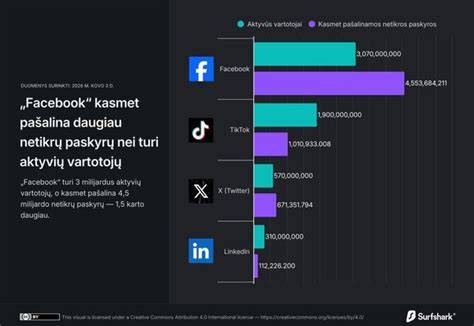 netikrų_paskyrų_poveikis_infografika
