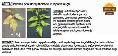 Alyvos nuotėkio požymiai ir sprendimai