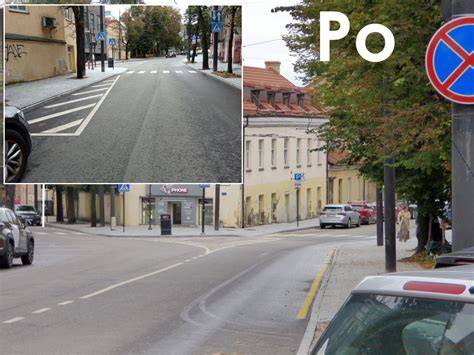 Sodų ir gėlių motyvų vizualinė galerija