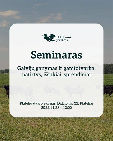 Infografika apie skirtingų dangų privalumus ir jų taikymo pavyzdžius kiemo įvažiavimui