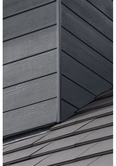 Medžio imitacijos fasado lentos