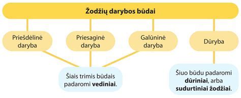 Diagrama: derivacijos tipai Lietuvių kalboje (prefiksacija, sufiksacija, paradigmacija, refleksyvacija)