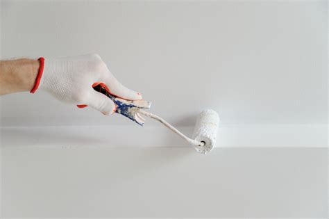 Skirtingi lubų dažų tipai