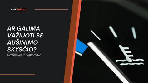 Infografika: aušinimo skysčio tiekimo grandinė tekimo įrankyje