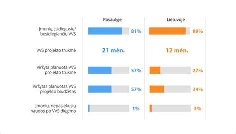 Infografika: populiariausių hidroizoliacijos sprendimų palyginimas
