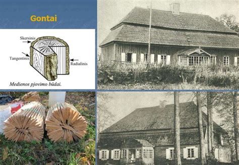 Infografika: medienos veiksniai ir dengimo būdai