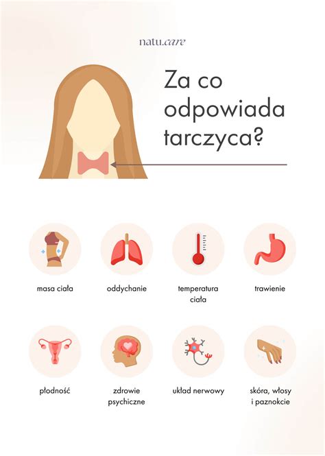 PP_Vamzdziu_standartai_infografika