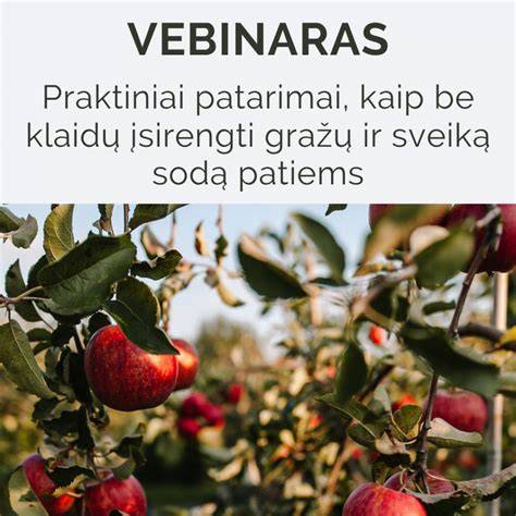 Praktiniai patarimai įvairiems paviršiams: impregnavimas, gruntavimas, dažymas