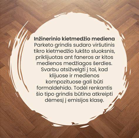 Infografika: saugios grindų apsaugos principai prieš židinį/krosnelę