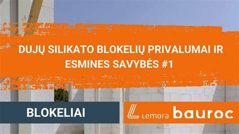 Infografika: Duju silikato blokelių pjovimo principai ir įrankių pasirinkimo kriterijai