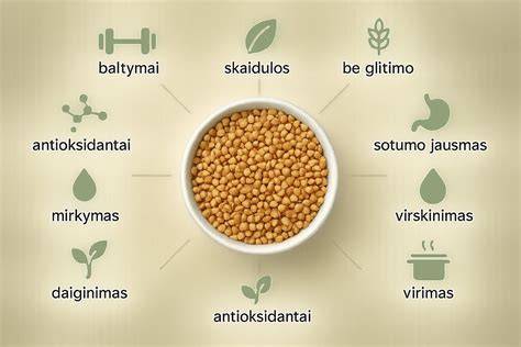 Brolių rato stiliaus bruseliai interjere infografika: sklaidos ir akustikos nauda