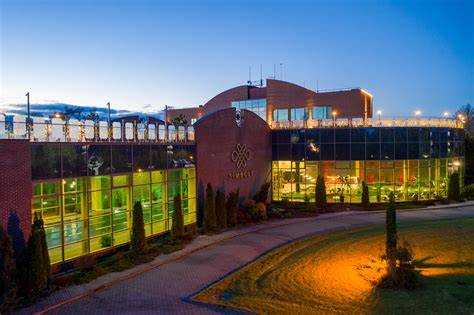 Populiariausios šeimų viešnagės Lietuvoje: Harmony Park, Grand SPA Lietuva, Žvaigždžių slėnis