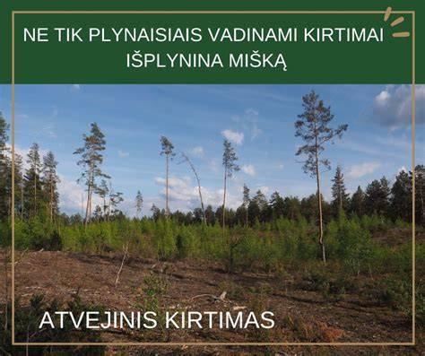 Infografika: Medžių kirtimo metodų pasiskirstymas Lietuvoje (plyni kirtimai ir kt.)