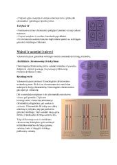 infografika: fasadų tipai ir jų ypatybės
