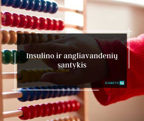 Infografika: ingredientų paskirstymas ir glaisto sudėtinių dalių santykis