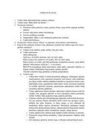 Taikomas planas betonavimui žiemą