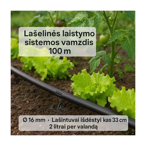 Lašelinės sistemos kainų pavyzdžiai