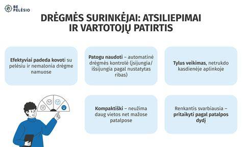 Infografika apie kietėjimo procesą ir drėgmės valdymą