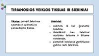 Infografika: Laminato klasei 333959 svarbiausios savybės
