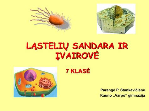 Infografika: ACM plokščių įvairovė, sandara ir galimi matmenys