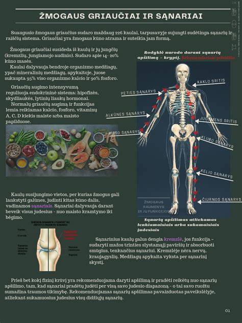 Infografika: core raumenų kompleksas ir jų funkcijos