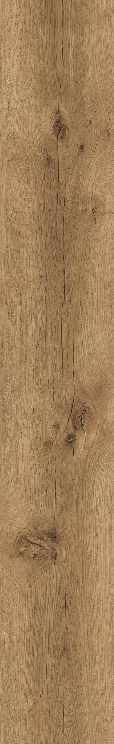 Infografika: Divino Click Major Oak 53850 techninės savybės ir naudojimo rekomendacijos