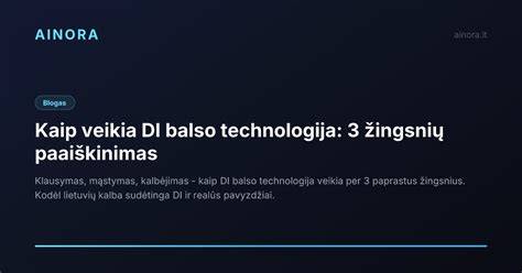 Infografika: kaip veikia ekovata pūtimo technologija viso namo šiltinime
