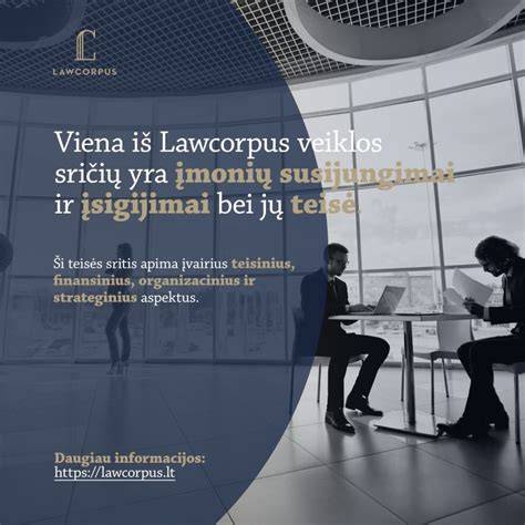 Infografika: Įmonių veiklos sritis ir prekių asortimentas