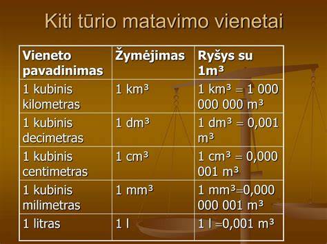 Infografika: Krovinio talpos veiksniai ir matavimo vienetai