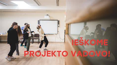 Vizualizacija: vieno projekto vadovo koordinuojamų brigadų veiklos schema