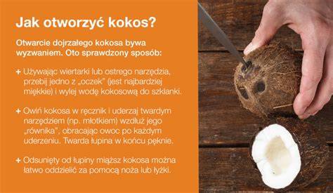 kokos-drožlės-infografika