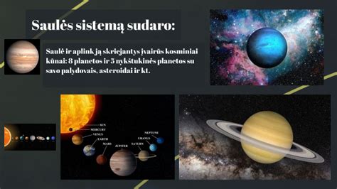 Infografika: Svertinės judėjimo sistema - kas ją sudaro: 650 raumenų, ~200 kaulų, ~280 sąnarių