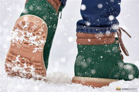 Grafikas: žalūs sprendimai žiemą be druskos