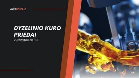 Infografika: kaip veikia dyzelinio kuro sistema žiemą