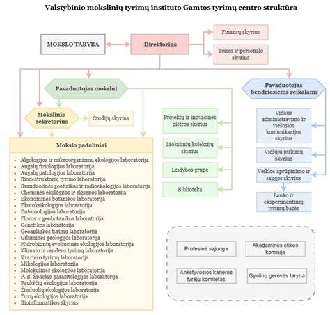 Fibro armavimo laikotarpio tyrimų schema