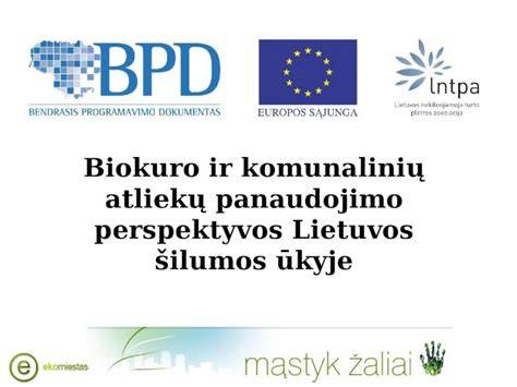 Infografika: biokuro gamyba iš medienos atliekų ir jų panaudojimo sritis