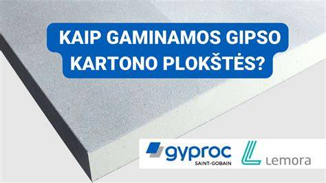 Infografika apie gipso kilmę, struktūrą, ir pagrindines gipso produktų grupes