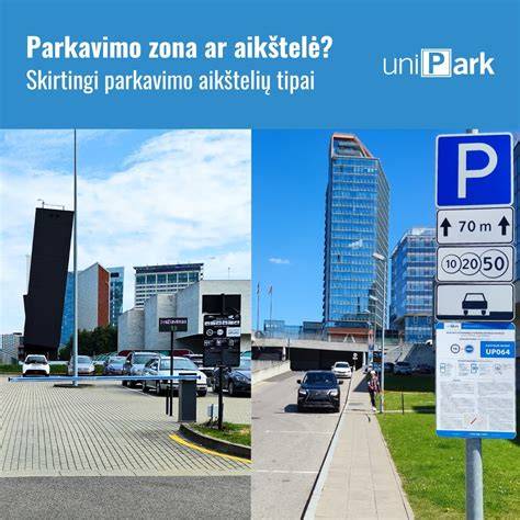 Infografika: parketlenčių tipai ir jų skirtingos priežiūros gairės