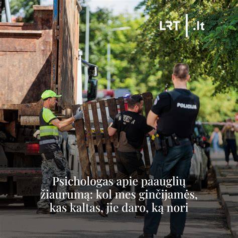 Infografika: slidumo klasės, PEI dilumo klasės ir straipsnio susiejimas