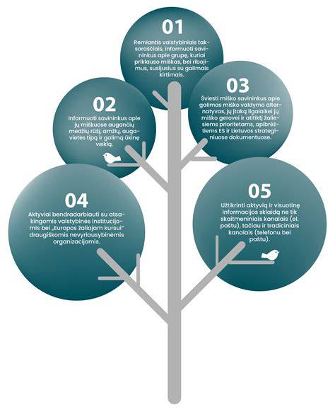 Infografika: įmonės struktūra ir veiklos kryptys