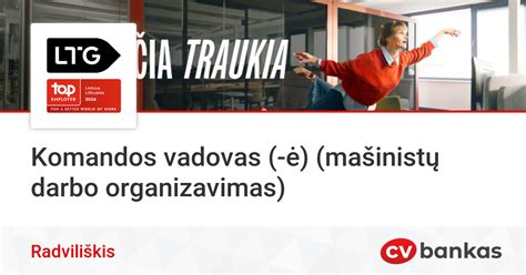 Schema: Komandos darbo organizavimas medicinos įstaigoje