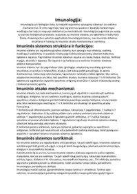 Infografinė schema: cinko sluoksnio struktūra ir jos apsaugos mechanizmai
