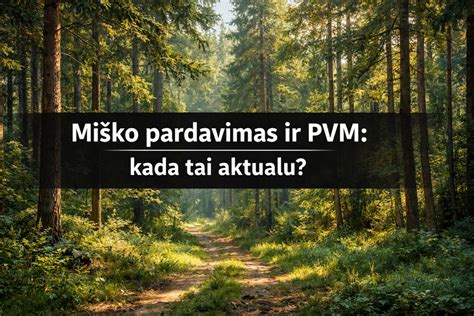 Infografika: PVM įstatymų pagrindai ir apvaliosios medienos pardavimo srautas