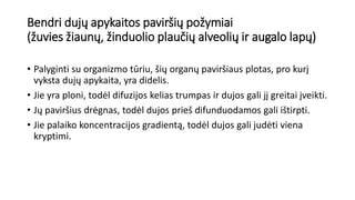 difuzijos principas ir paviršiaus tekstūra