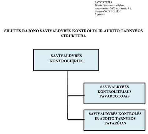 Infografika: Dokumentų valdymo audito kryptys, registrų ryšiai ir fondų struktūra