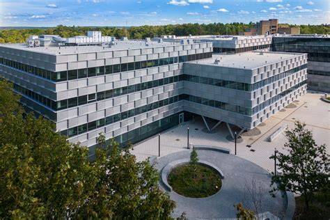 Architektūrinė išraiška: griežtos formos, stiklas ir metalas